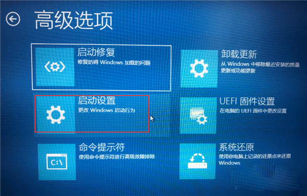 Win11安装之后不能联网?Win11安装不能联网操作步骤