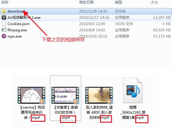 AG视频解析(视频解析下载工具) V4.3 电脑版