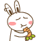 达达兔QQ表情包EIP版