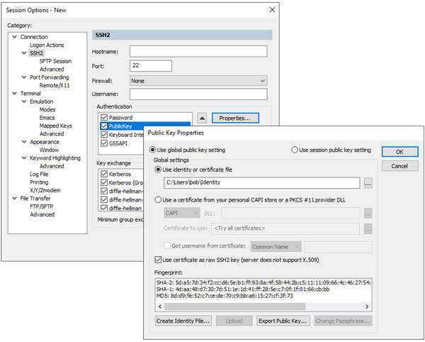 SecureFX V9.0.0.2430 免费版