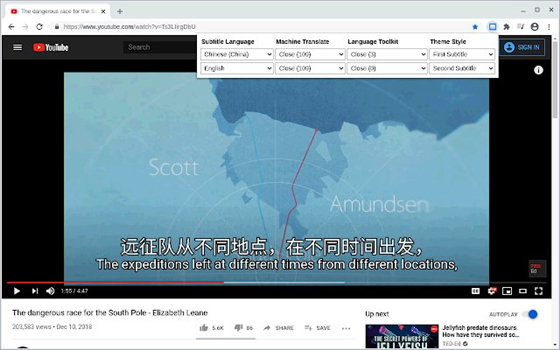 Dualsub插件 V1.31.0 免费版