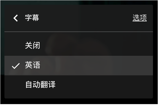 Dualsub插件 V1.31.0 免费版
