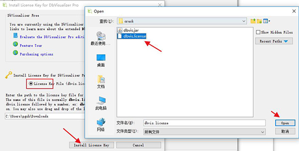 DbVisualizer Pro V12.0.2 中文版