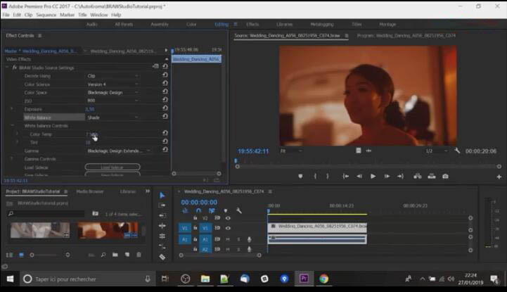 BRAW Studio插件 V2.2.5 中文版