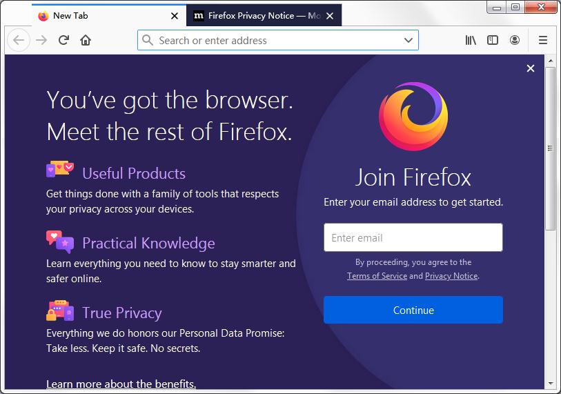 Gecko内核浏览器 V76.0 英文安装版