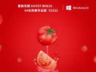 番茄花园 Ghost Win10 64位完美专业版 V2022