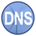 Simple DNS Plus(DNS服务器软件) V6.0.122 英文版