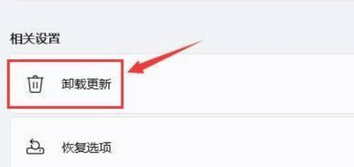 Win11突然黑屏怎么办?Win11突然黑屏解决方法