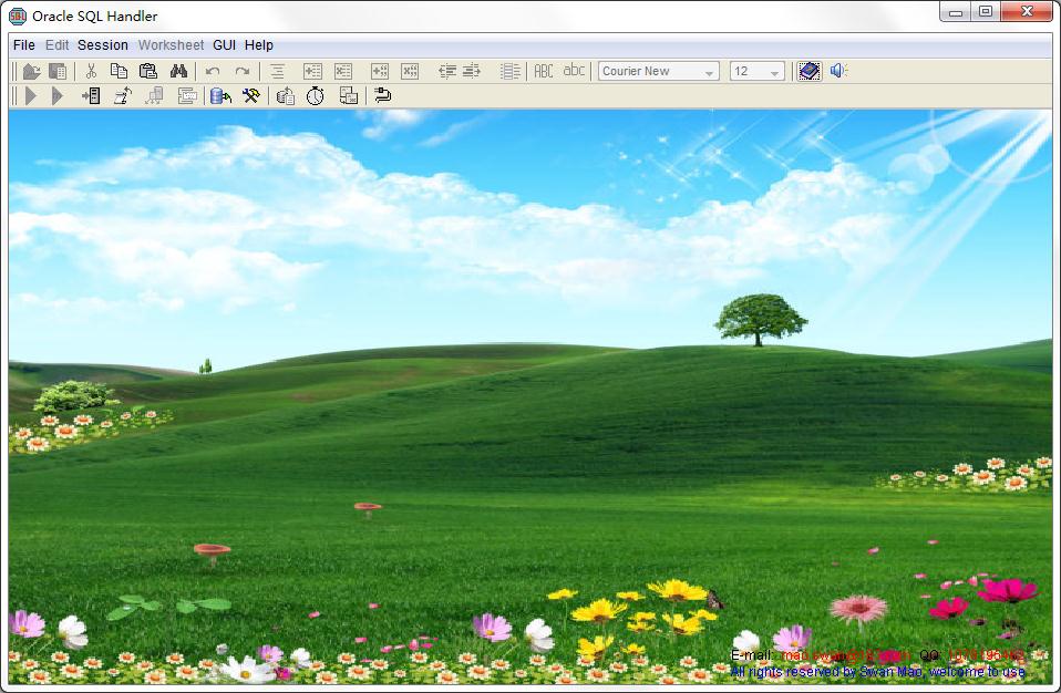 Oracle SQL Handler V5.1 绿色版