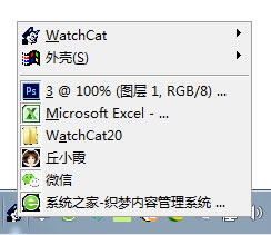 WatchCat(窗口隐藏工具) V2.0 绿色版