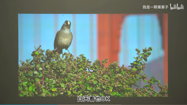 当贝投影仪怎么样?体验当贝D5X后感觉当贝的产品做的很用心