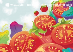 番茄花园win10精简专业版官网系统下载 V2023