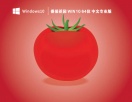 番茄花园 Win10 64位 激活中文专业版 V2023