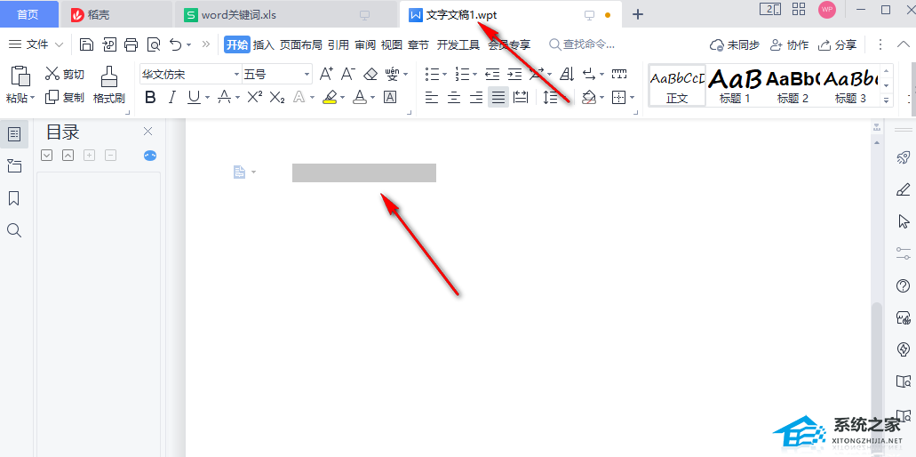 Word文字输入不显示怎么办？Word文档输入字不显示的解决方法