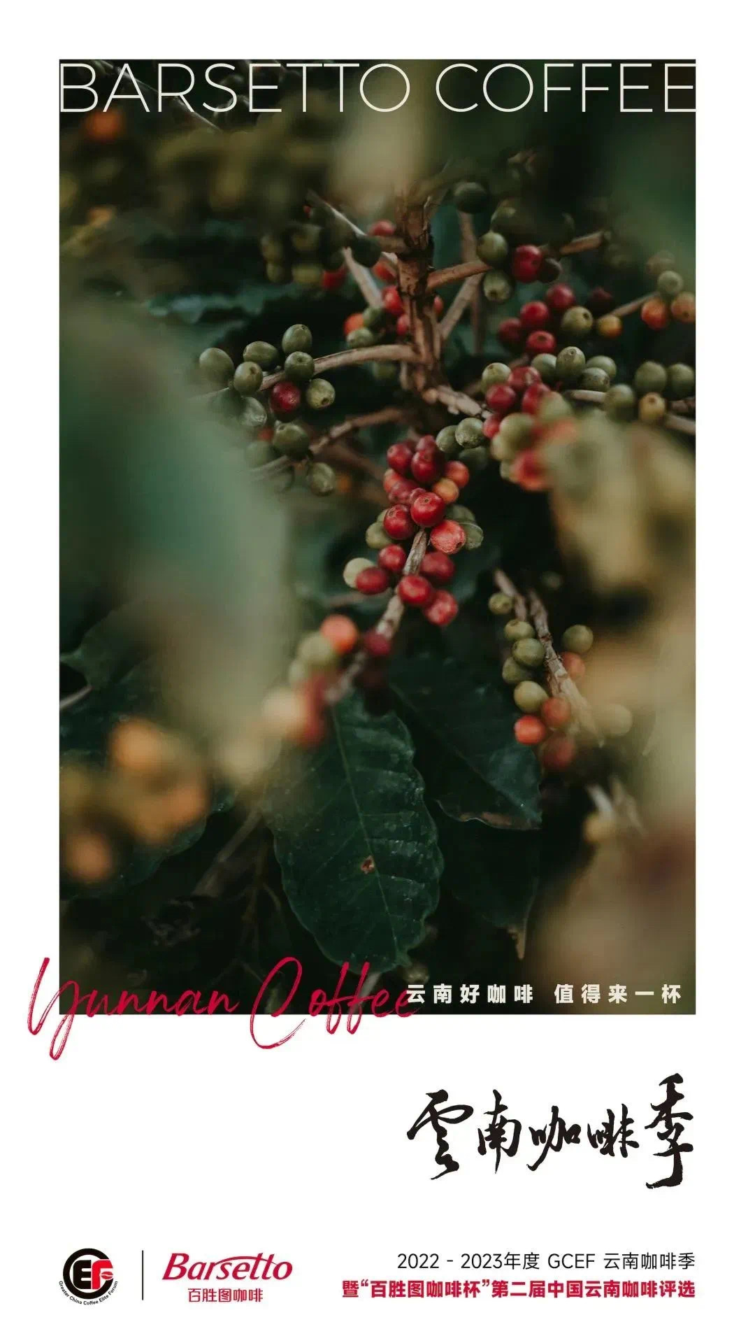 GCEF云南咖啡评选大众评测开启, Barsetto百胜图倾力助推本土好咖啡