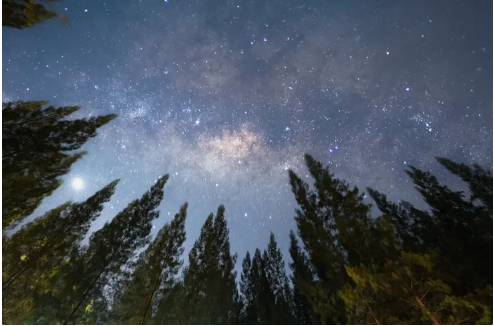 光污染导致夜空亮度增加：未来孩子或只能看到少数星星