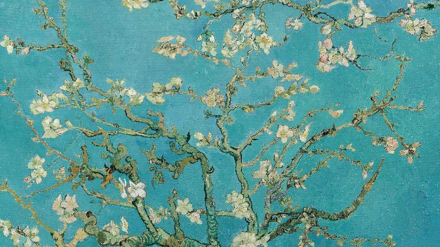 科技艺术共生,体验全面升级:三星艺术画廊服务正式上线