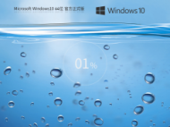 Windows10 22H2 64位 官方专业版 V2023