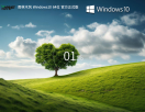 【品牌系统】雨林木风 Windows10 22H2 X64 官方正式版