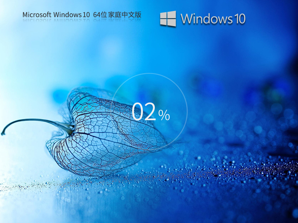 【适合家庭/个人】Windows10 22H2 X64 家庭中文版