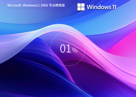 【高效轻快】Windows11 23H2专业精简版64位系统(轻量级)