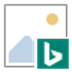 BingSnap(Bing壁纸软件) V4.0 电脑版