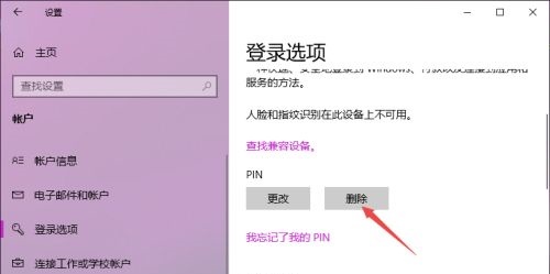 Win10电脑取消开机密码PIN码的详细步骤-【图文】