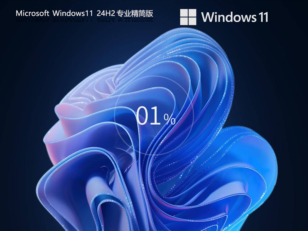 【适度精简】Win11 24H2 26100.2033 专业精简版