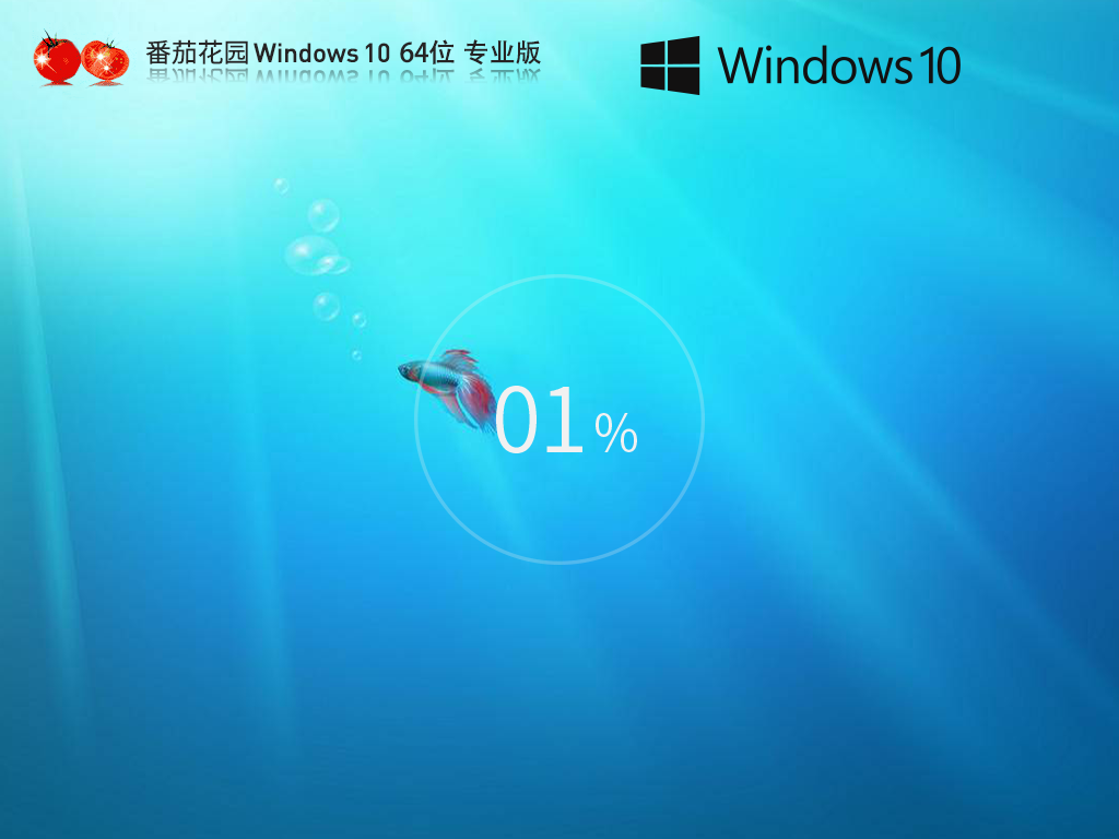 【番茄花园】Windows10 22H2 64位 官方专业版