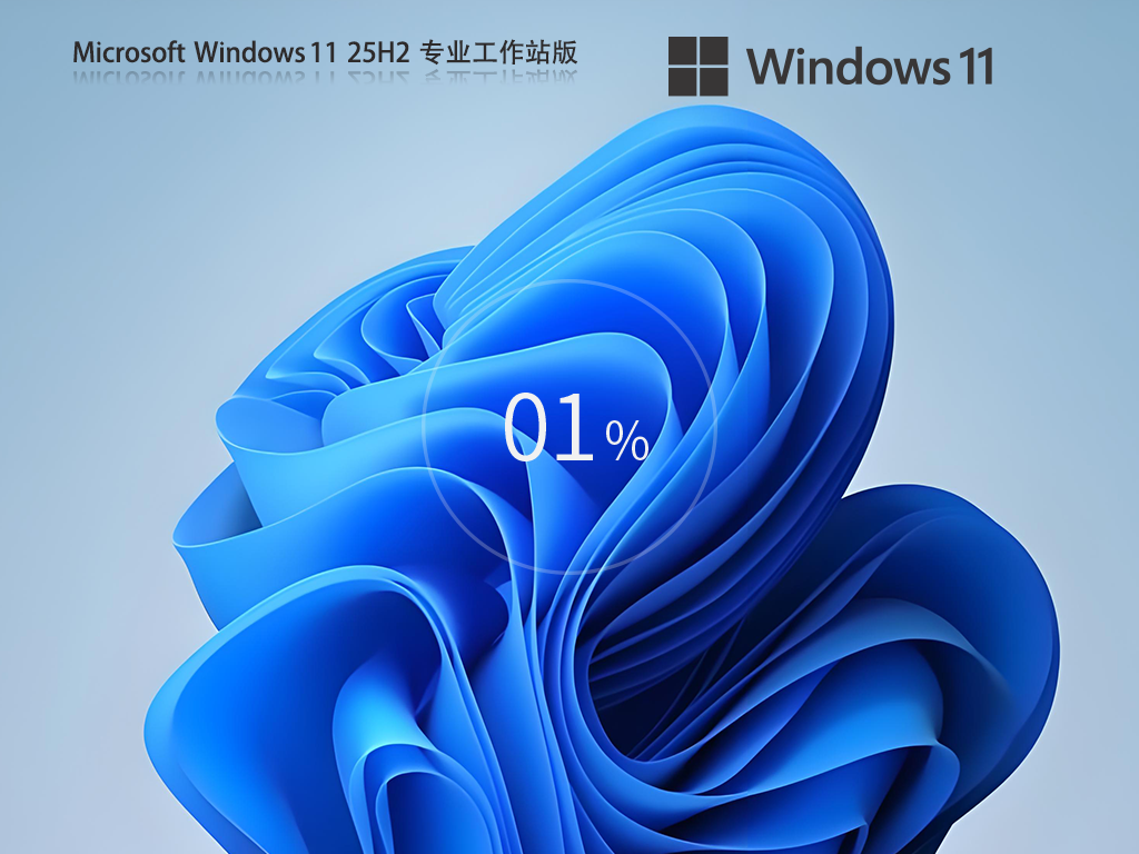 【系统之家】Win11 25H2 64位 专业工作站版