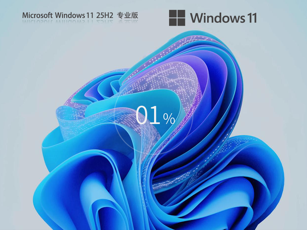 【01.25】Win11 25H2 64位专业版镜像