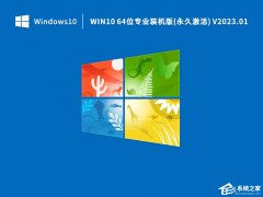 Win10专业激活版64位系统镜像下载(装机专用)