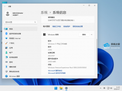 Win11专业工作站版好不好？Win11专业工作站版有什么缺点？