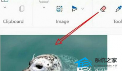 Win11画图工具怎么改照片的大小和尺寸?
