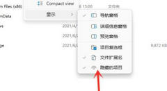 Win11如何打开隐藏文件夹？Win11打开隐藏文件夹方法