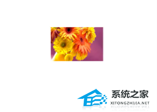 WPS文档添加图片显示不全-WPS图片只显示一小条的解决技巧