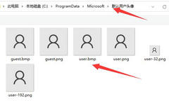 Win11账户头像怎么恢复默认-Win11账户默认头像设置方法