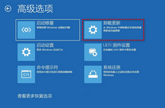 Win11 23H2无法退回Win10怎么办-Win11 23H2回退不了Win10的解决方法